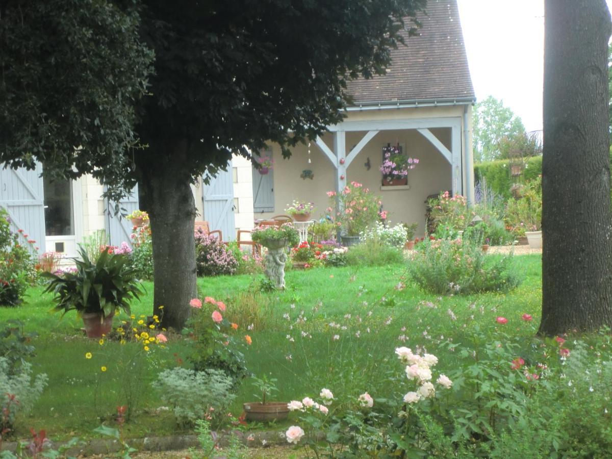 Chambre D'Hotes La Belle Saison Villedomer 外观 照片